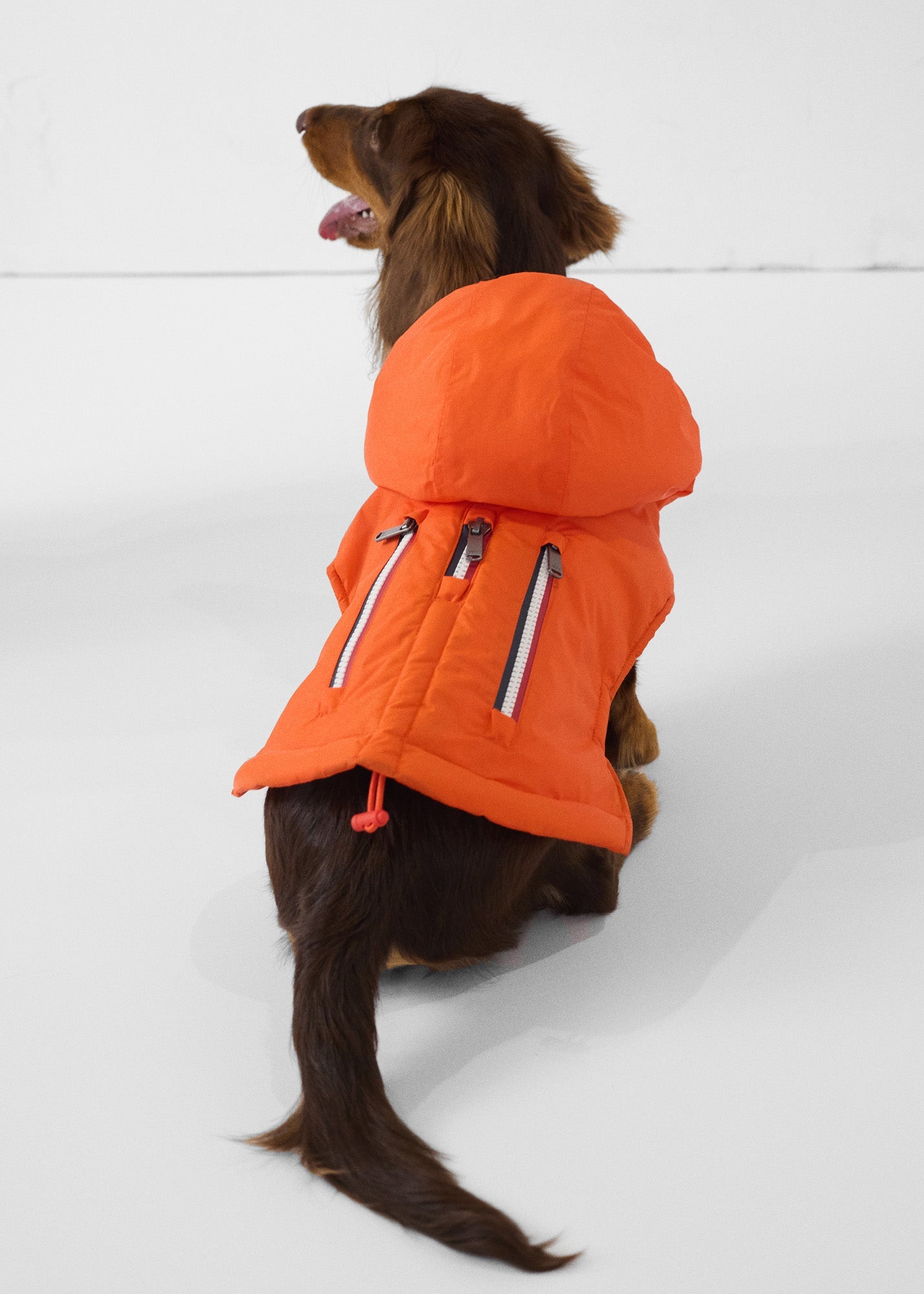 Imperméable pour chien Rouge feu Balto