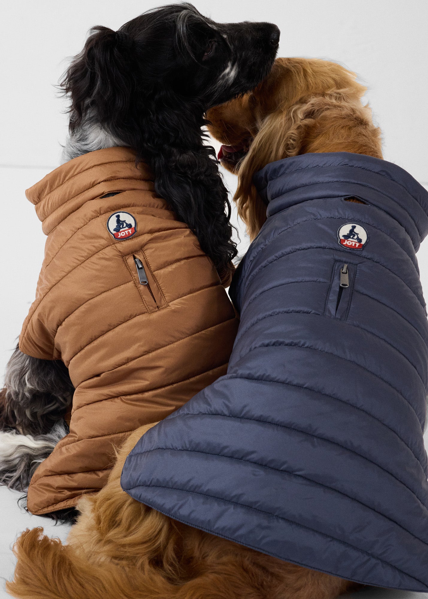 Doudoune pour chien Bluestone Cutie